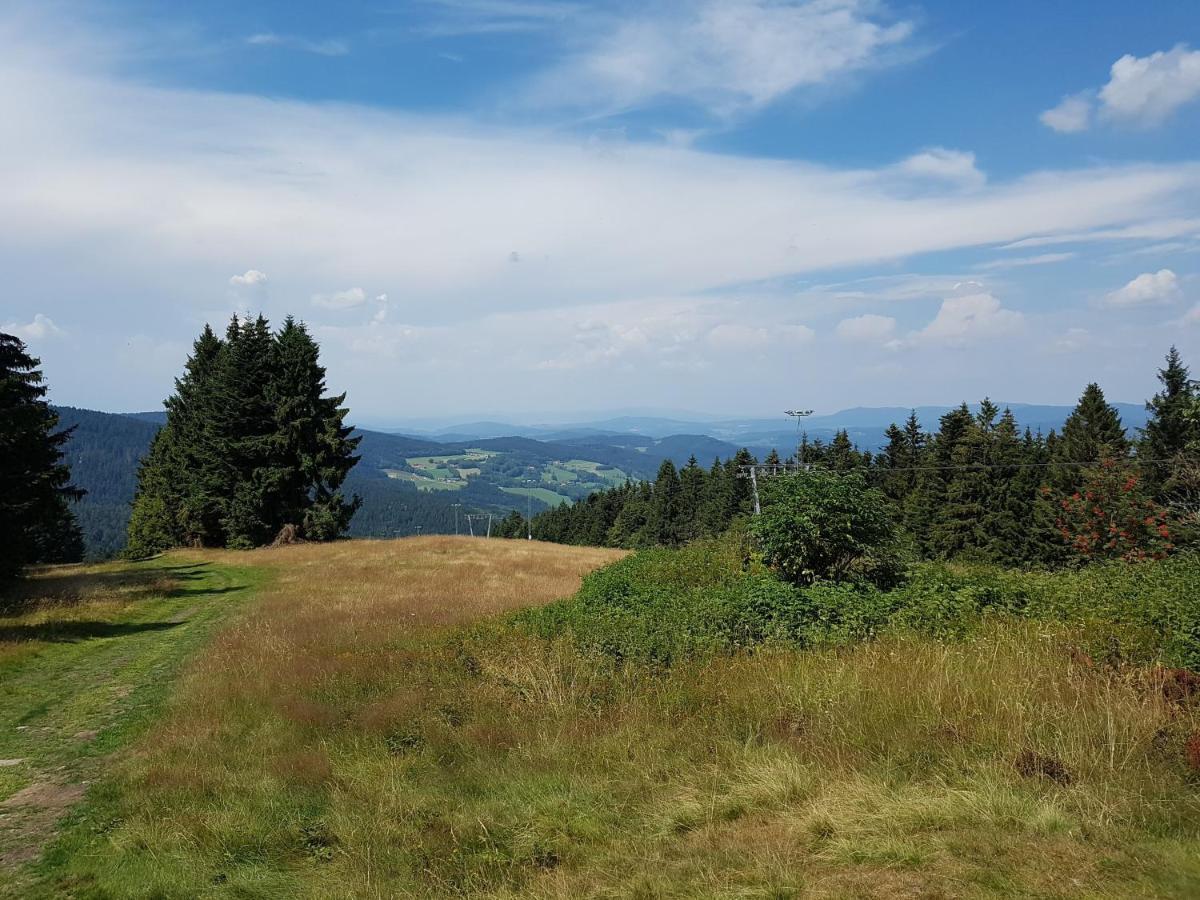 Traumurlaub Im Bayerische Wald Sankt Englmar Esterno foto
